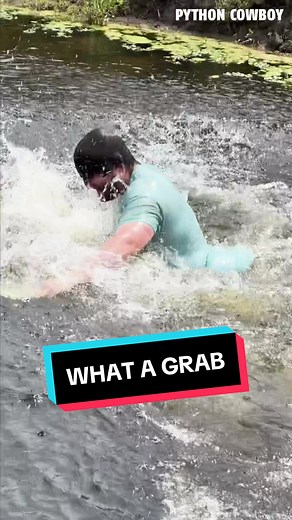 Incredible Dog Catching an Iguana in Florida