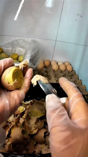 Golden & Q-Bounce! The Secret Of Chinese Grilled Eggs 🍢