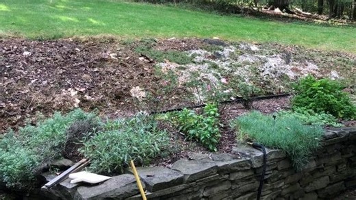 Over the Garden Gate: Sheet mulching as a solution to many gardening challenges
