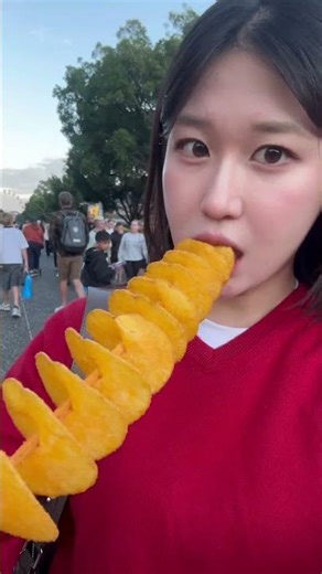 호주 여행 오면 꼭 가야하는 축제 🎡 Sydney Easter Show