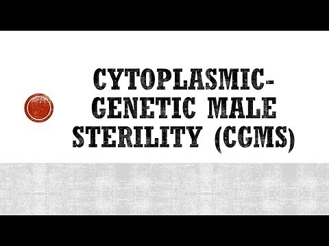 Cytoplasmic Genetic Male Sterility (CGMS) in Plants.