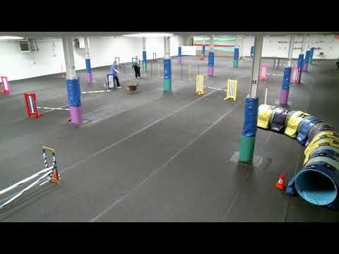 TCOTC Agility Trial Feb/March 2026