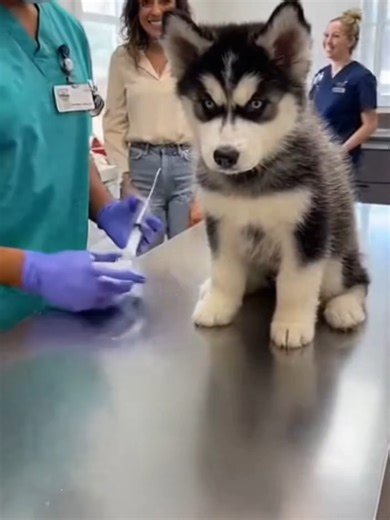 Eric Hart (@eric.hart76)’s videos with original sound - Eric Hart