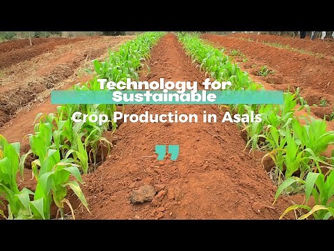 "Revolutionizing Farming in Arid Lands: Zai-Pit Innovation in Makueni, Kenya"