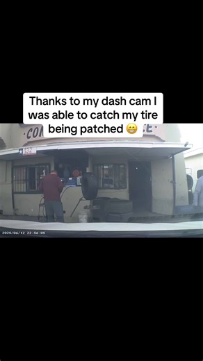 I love capturing random stuff on my dash cam #dvr #dashcam #random