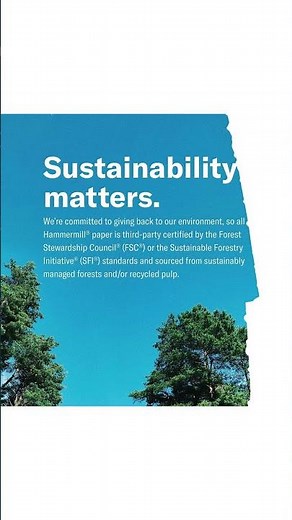 Hammermill 20lb Copy Paper – Best Jam-Free Printer Paper for Office & School | 1500 Sheets Review