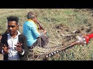 सपेरों का पर्दाफाश,। देखिए कैसे लोगों को बेवकूफ बना रहे थे। अपने पास से ही सांप को छोड़ पकड़ रखा थे।