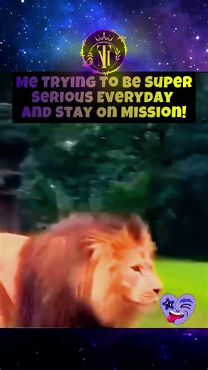 This Is What Happens When You Stay On Track!