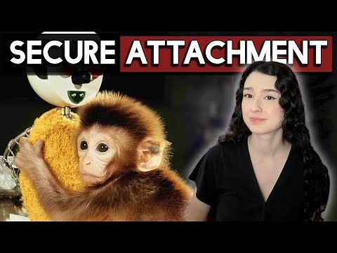 10 SIMPLE steps to secure attachment