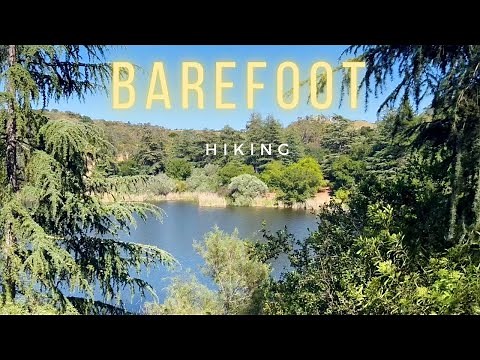 Hiking Barefoot in the woods...walk and talk