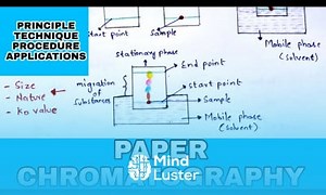 Mind Luster - Learn Paper chromatography Principle Procedure Development techniques Applications