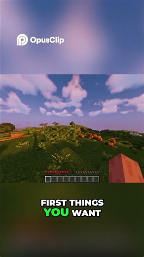 Minecraft Beginner's Guide