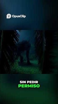The Fear That Walks in Yucatán | The Night Has an Owner #terrorandmystery #fear #suspense #horror