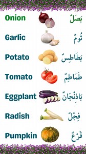 learn arabic. #learning #learnenglish #learnarabic | Arabic & English Solution