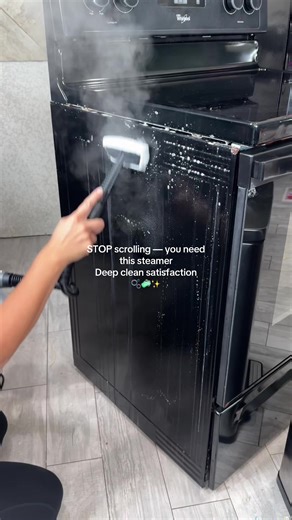 Deep Cleaning with My Favorite Steam Cleaner