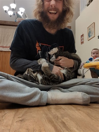 Gentle Cat Bites and Playful Claws Moments