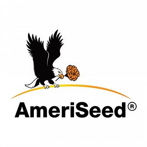 Marigold - AmeriSeed