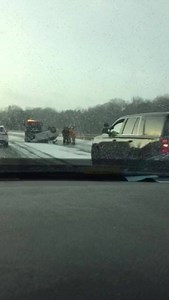 Hwy 406 Southbound under the Burgoyne bridge before Westchester—Vehicle has rolled over and hit the concrete bridge strucure. EMS, fire and OPP on the way. Witnesses say the occupant may be crawling out of the vehicle. Thank you Amanda L. for the video. | Niagara_411