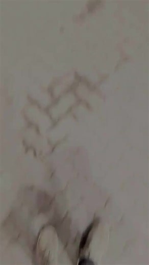 #foryou #funny #yyyyyy #foryou #🤣🤣🤣🤣 #foryou #yyyyyy #funny #