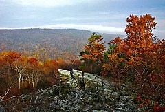How smart growth in cities saves wilderness [VIDEO]