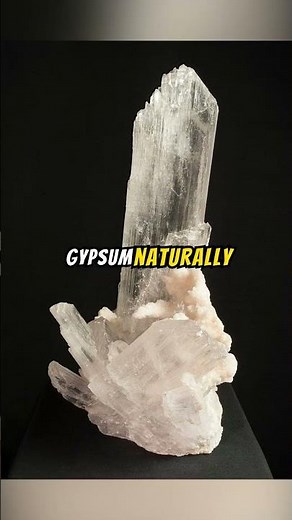Gypsum Explained... #minerals #explained #rocksandminerals #minerology #crystals #geologypage #fypシ