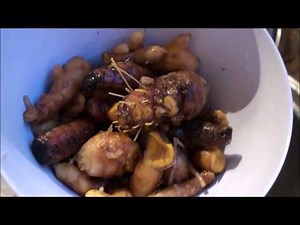 Making turmeric powder yourself quite easy