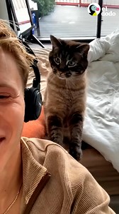 1M views · 47K reactions | Gato tiene que estar con su papá las 24 horas del día, los 7 días de la semana, así que su papá averigua porque: mira su rutina de ejercicios  | El Dodo | Facebook