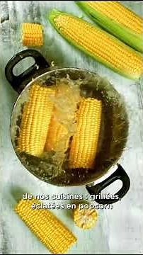 🌽 Le maïs : l’or des champs, bien plus qu’un ingrédient !