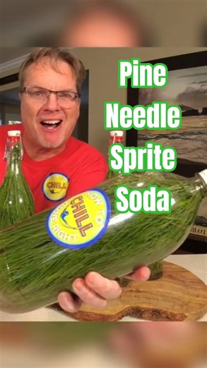 Homemade Pine Needle Sprite - The New Soda Craze! #howto #soda #sprite #recipe #howtomake
