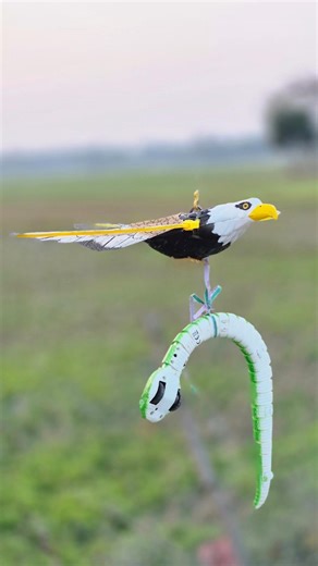 Rc Fly Eagle and Snake Unboxing and Testing 😘