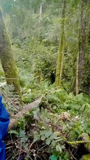 Yang punya mata batin tolong diterawang ada apa disini. Bah Holiq #fbpro #reelsfb #pencarianwira | Iwan Ichwan