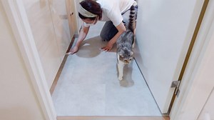 【洗面所DIY】床はクッションフロアよりフロアタイルが楽でした。接着剤不要で賃貸OK！