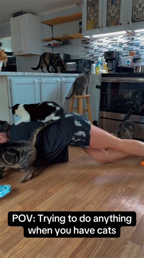 Just trying to engage my core and do a little exercise for a bit while on my lunch break from work, cooking some chicken and rice. But these hooligans are obsessed with me and won’t let me do anything by myself at ground level. Anyone else’s cats constantly up in your business? 😂 I love my little furry besties. #catsoftiktok #kitty #exercise #fyp #foryoupage