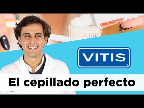 Consigue una higiene bucal sana con VITIS 🦷 | Farmaciasdirect