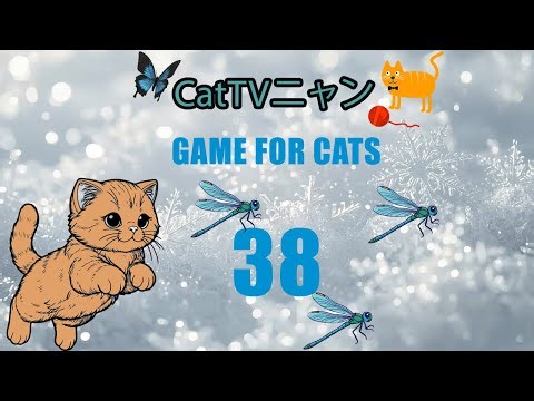 猫の本能全開！5時間の狩りタイム🎯 | CatTVニャン #38