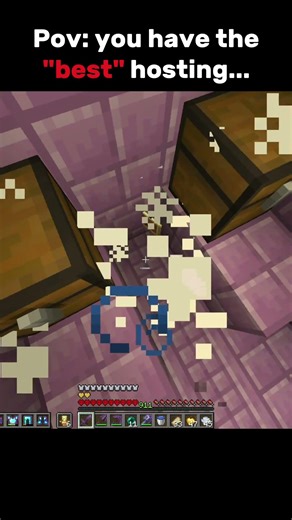 Pov: you have the "best" hosting... #minecraft