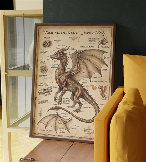 Dragon Anatomy Poster, Thrones Gift, Dragon Rider Art, Middle Earth Print, Dark Academia - Etsy