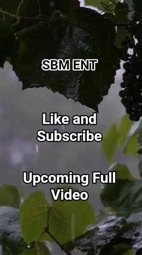 A SBM ENTERTAINMENT presentation...