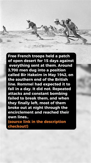 Free French held a desert box for 15 days #short #history #ww2