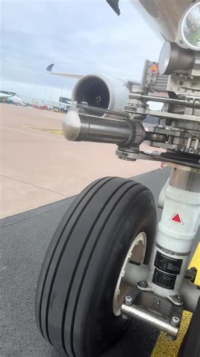 Aviation Insights: Airplane Engine and Landing Procedures