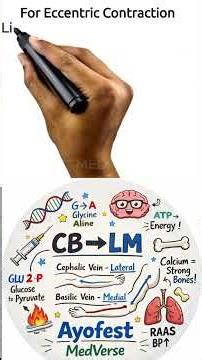 C CURVES 🔄 | E STRAIGHTENS ➖ Part 1