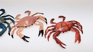Realistic Mini Crabs (3.5″) – Plastic Marine Decoration for Cake Toppers, Beach & Nautical Themed Party Decor (Red - 2 Pack)