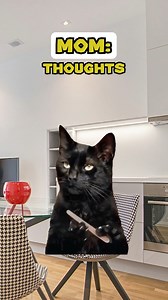 95K views · 2.6K reactions | The Most Dangerous Animal  (CAT VERSION) | sounds: YT @ryanhdlombard #cat #reelsfypシ #fb #funnymemes #reelsvideoシ | Shercat Holmes | Facebook