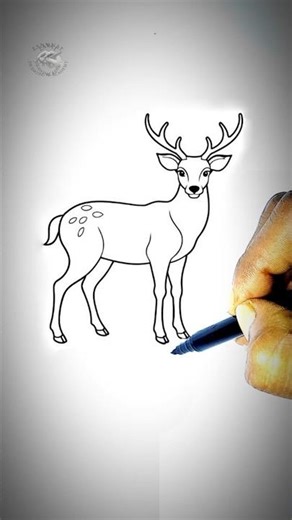 How to Draw a Deer 🦌✏️ | Simple Animal Sketch #drawing #deerdrawing
