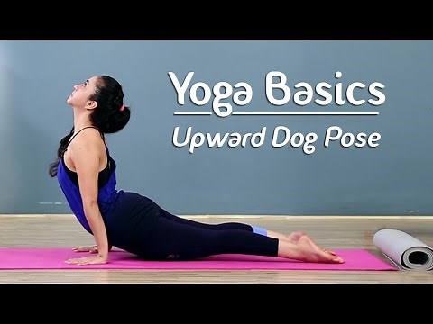 Upward-Facing Dog Pose | Urdhva Mukha Svanasana | Yoga For Beginners - Yoga With AJ
