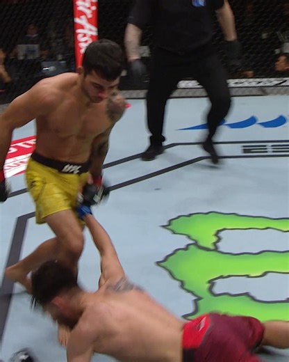 The Cannibal! FLW Champion Alexandre Pantoja Is Different... He takes on Kai Asakura this Saturday in our #UFC310 main event! LIVE on PPV | Main 10pmET | UFC