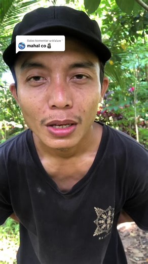 Peluit Aztec Murah untuk Pemula dan Bangunin Sahur