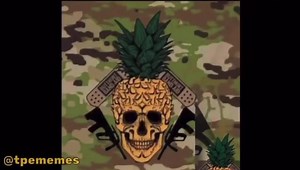 105K views · 2.1K reactions | Another compilation of inbox submissions to kick start your weekend! In todays morale video we have: 1. Gym motivation 2. Battalion Shenanigans 3. More morale raising dancing (please send more we love these vids ) 4. Lunch rudely interrupted and much much more. Send your inbox submissions to our page inbox or tpememes@hotmail.com! #TPE  | The Pineapple Express | Facebook