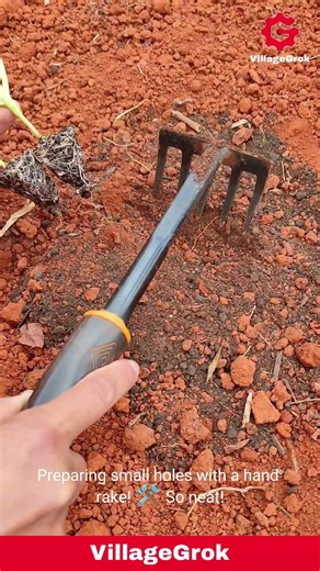 Gardening in Red Soil: Planting Seedlings with a Hand Rake