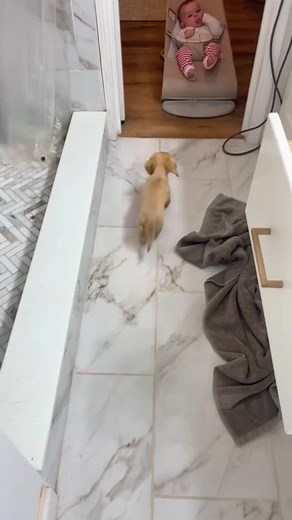 Baby and Dog Grow Up Together - Heartwarming Moments